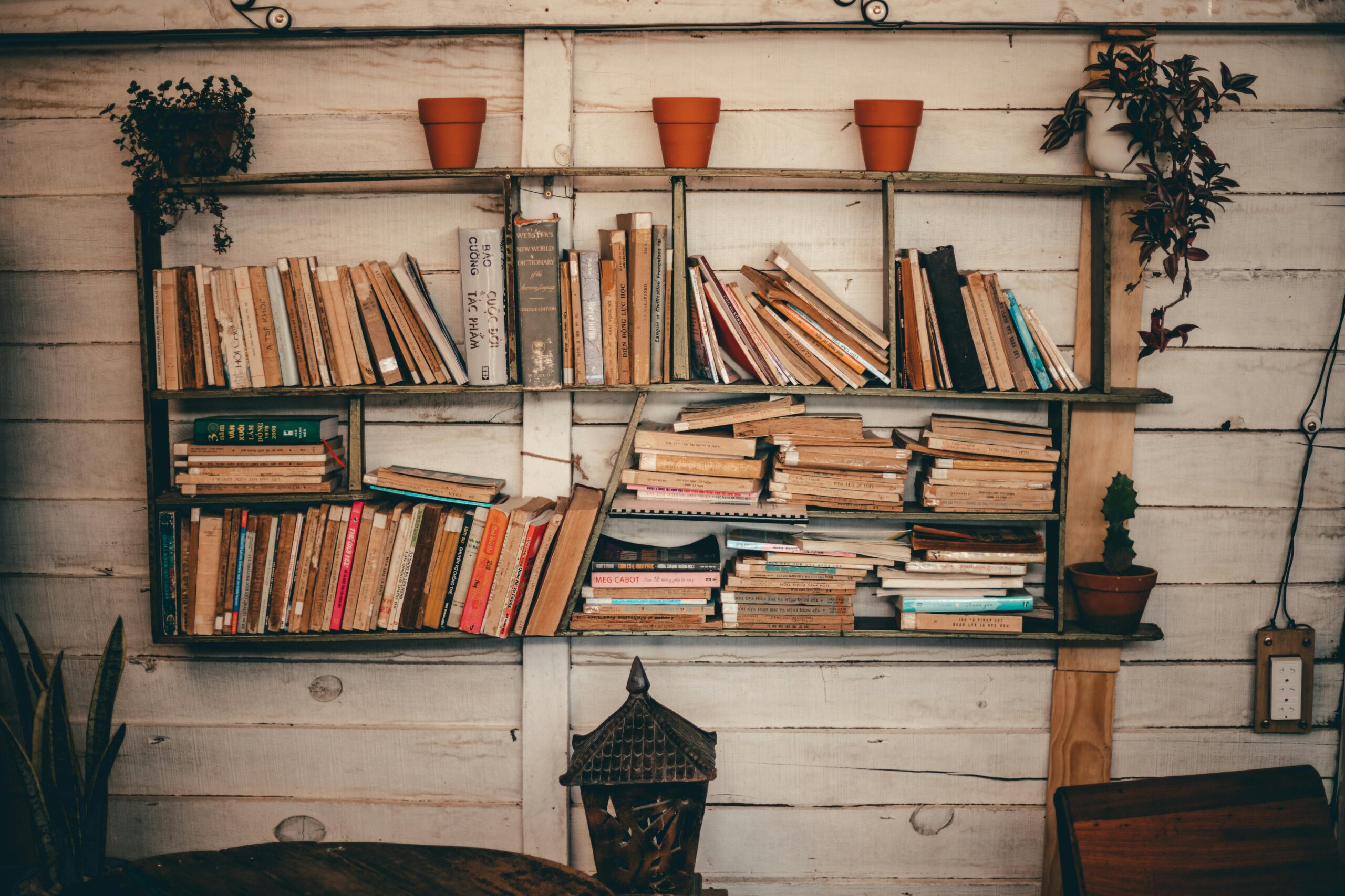 Rustic bookshelf in cozy Dalat, Vietnam interior with books and plants.